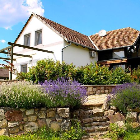 Videki Haz Apartamento Tagyon Exterior foto