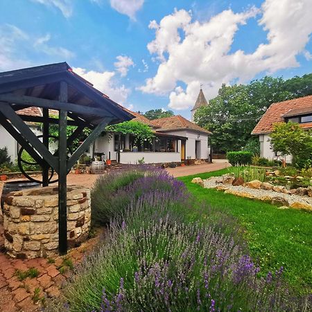 Videki Haz Apartamento Tagyon Exterior foto